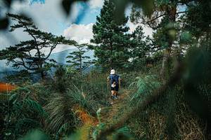 BIB: 
                            <button type="button" onclick="openModal(25258282)" class="btn btn-primary btn-sm float-right btn-popup" data-toggle="modal" data-target=".modal-high-quality">
                        <i class="fas fa-shopping-cart"></i> Add to Cart
                    </button>
                                            <button type="button" onclick="isThisMe(25258282, true)" class="btn btn-success btn-sm float-right btn-popup btn-isme hidden" data-toggle="tooltip" data-placement="bottom" title="นี่คือรูปของคุณใช่ไหม คลิกที่นี่เพื่อเอาเข้าอัลบั้ม">
                        <i class="fas fa-plus"></i> Add to album
                    </button>
                    <button type="button" onclick="isThisMe(25258282, false)" class="btn btn-warning btn-sm float-right btn-popup btn-isnotme hidden">
                        <i class="fas fa-ban"></i> Remove from album
                    </button>